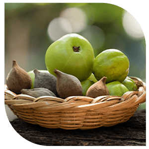 Triphala